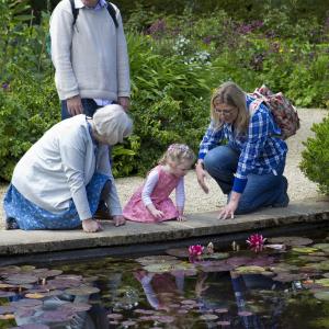 lilly pond 805207 1280