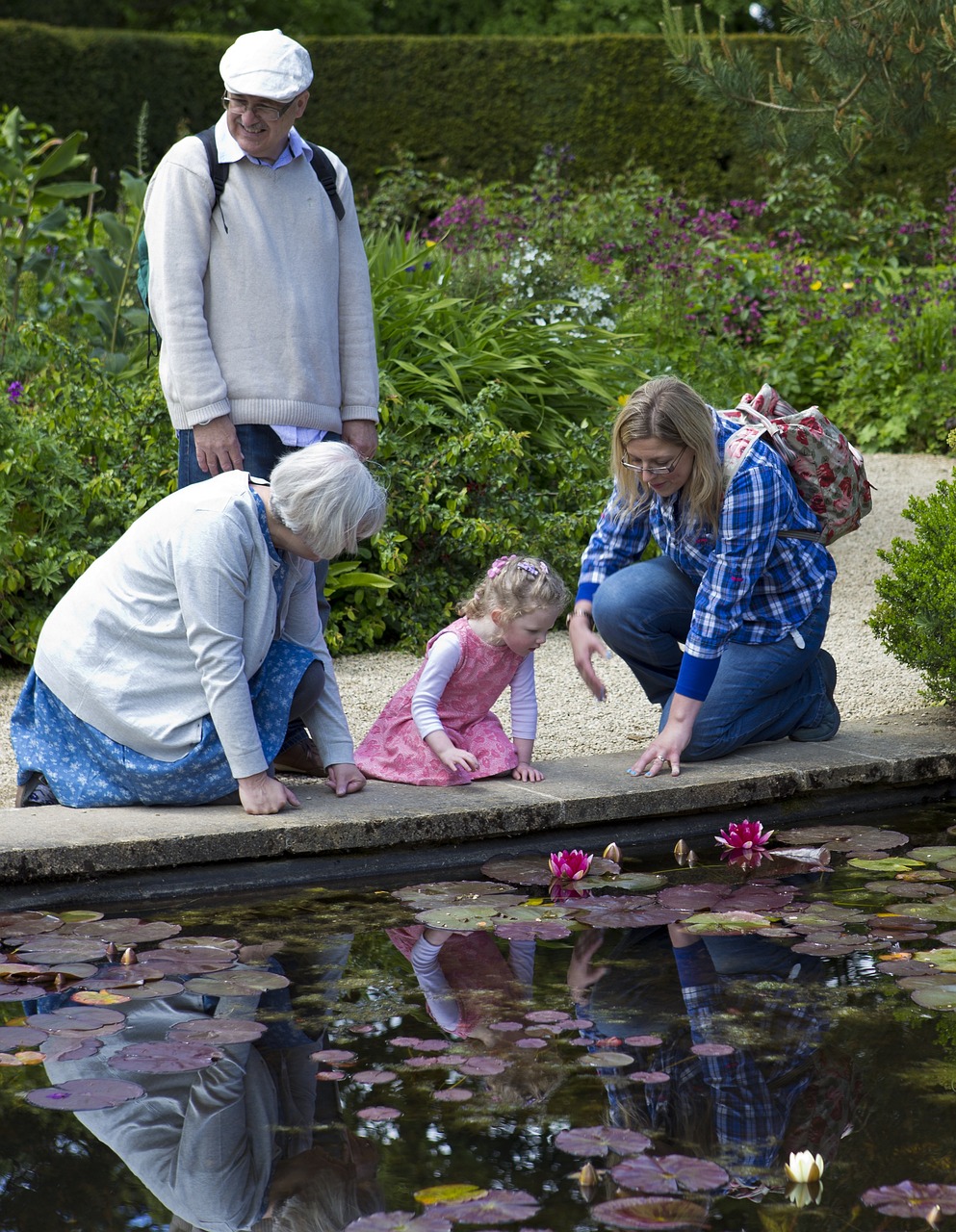 lilly pond 805207 1280