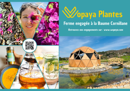 Wopaya